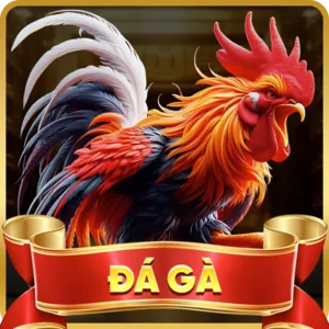 Live Casino Trực Tuyến 55VIN