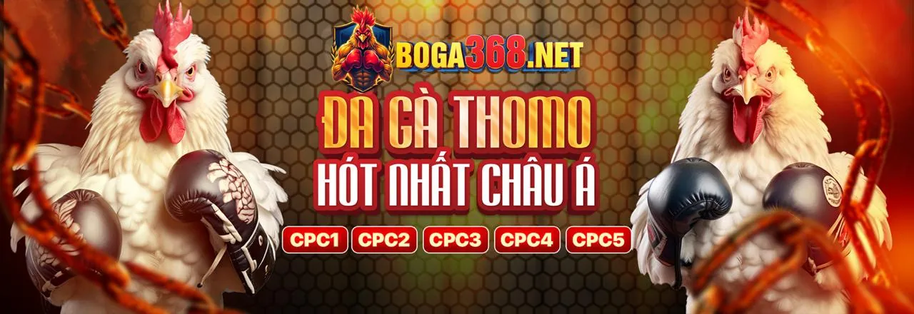 Các chương trình khuyến mãi độc quyền tại 55vin năm 2026