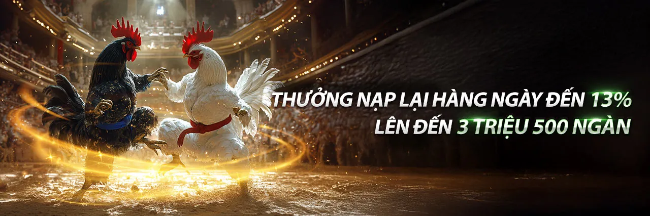 Tin tức khuyến mãi 55vin mới nhất
