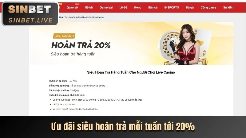 Cấu Trúc Cấp Bậc VIP 55vin