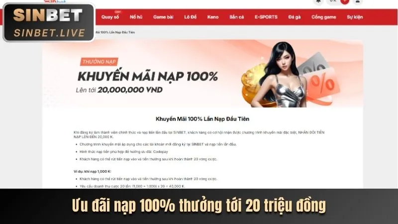 Biểu đồ minh họa chiến lược quản lý tiền thưởng và vốn hiệu quả tại 55vin